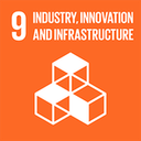 SDG 1