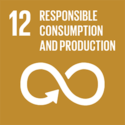 SDG12