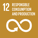 SDG 3