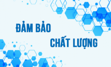 Đảm bảo Chất lượng