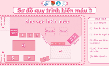 Voluntary Blood Donation Event XX | Blood Donation Process & Diagram